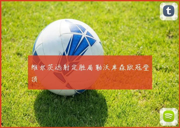 维尔茨远射定胜局勒沃库森欧冠登顶
