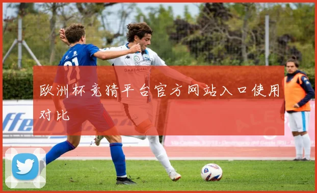 欧洲杯竞猜平台官方网站入口使用对比