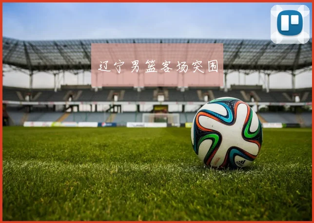 辽宁男篮客场突围