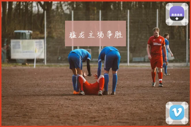 猛龙主场争胜