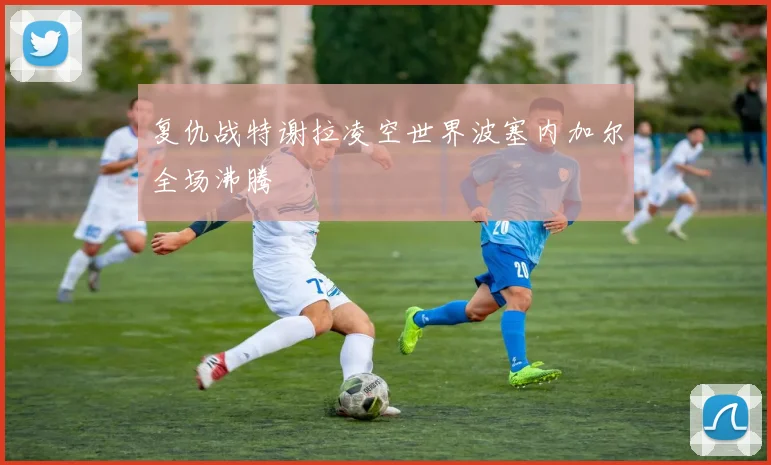复仇战特谢拉凌空世界波塞内加尔全场沸腾