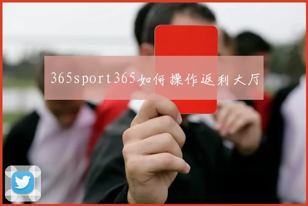 365sport365如何操作返利大厅