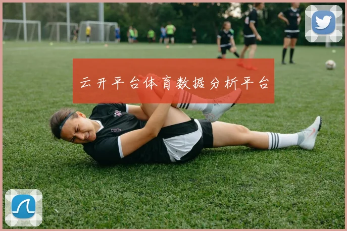 云开平台体育数据分析平台