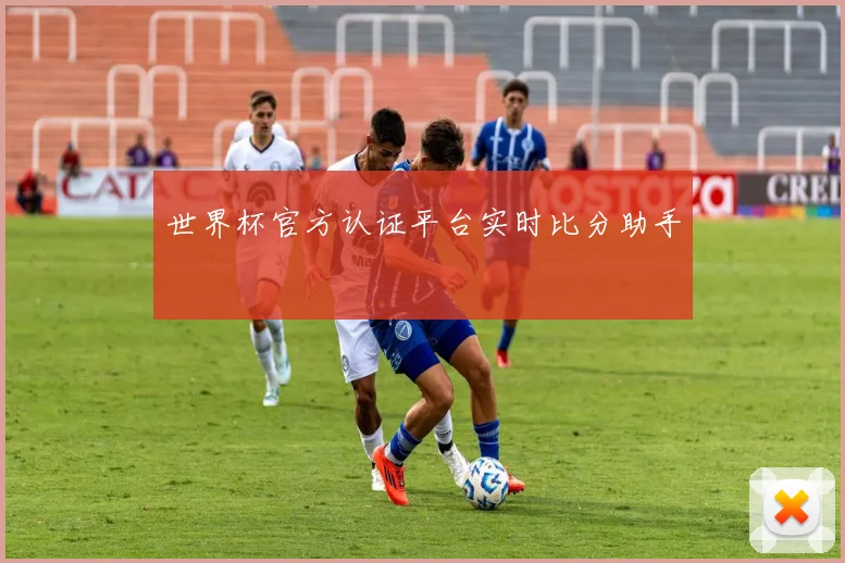 世界杯官方认证平台实时比分助手