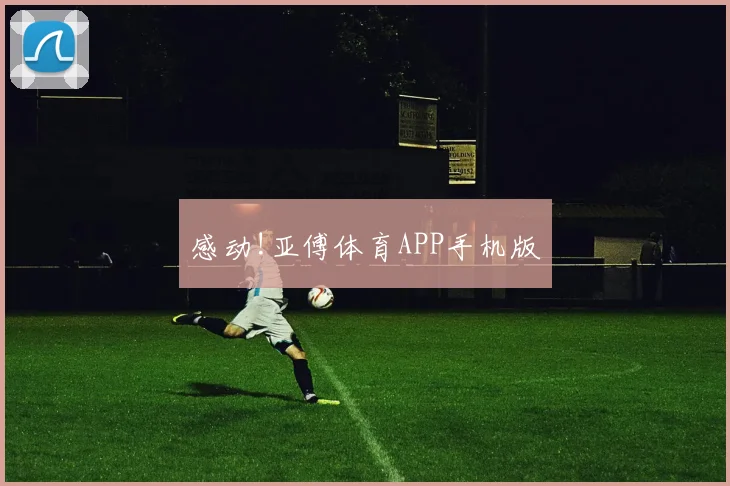 感动!亚傅体育APP手机版