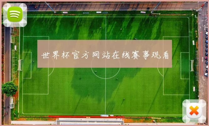 世界杯官方网站在线赛事观看