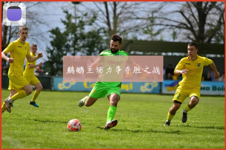 鹈鹕主场力争夺胜之战