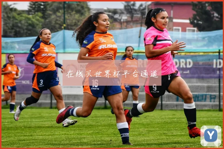 在线买世界杯平台通道