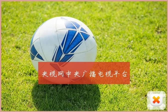 央视网中央广播电视平台