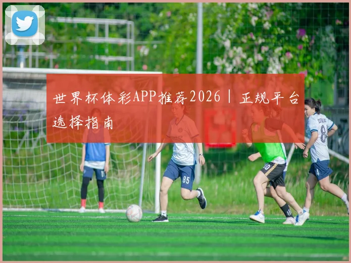 世界杯体彩APP推荐2026｜正规平台选择指南