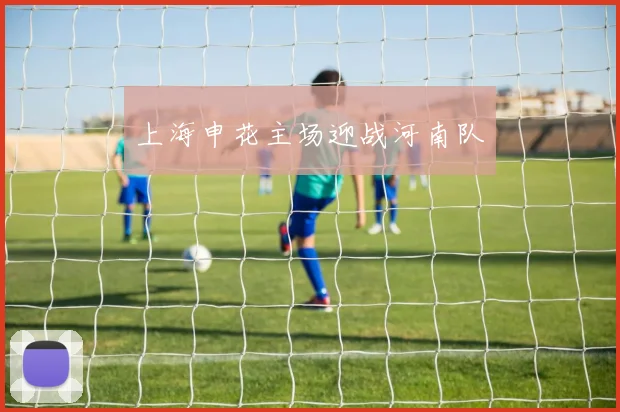 上海申花主场迎战河南队