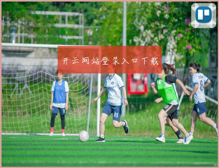 开云网站登录入口下载