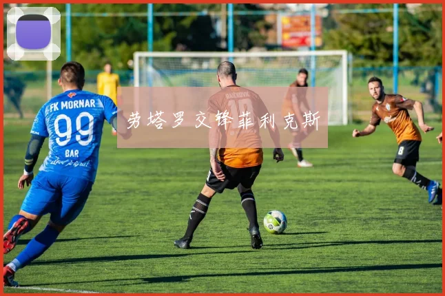 劳塔罗交锋菲利克斯