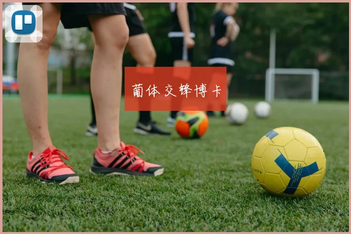 葡体交锋博卡