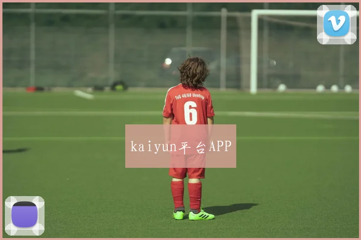 kaiyun平台APP