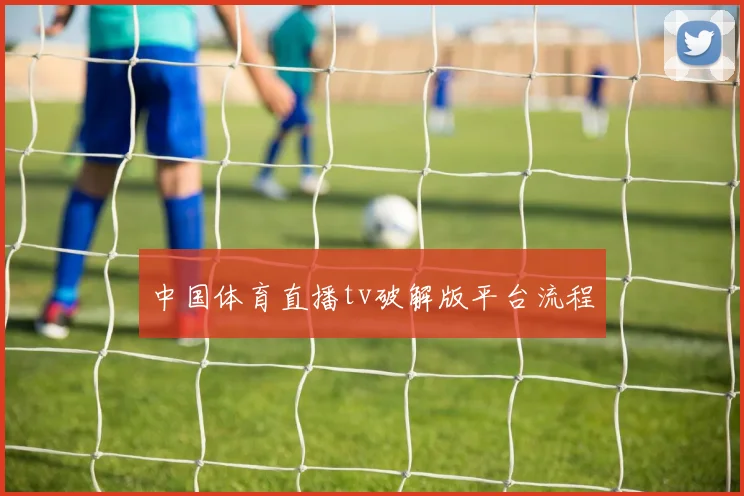 中国体育直播tv破解版平台流程