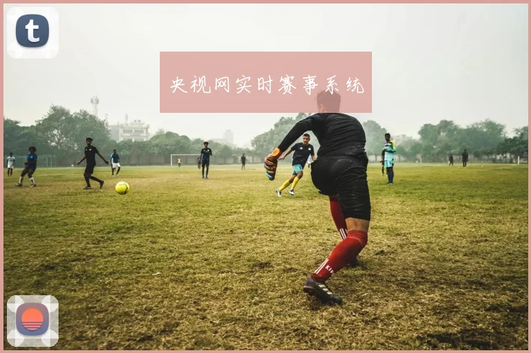 央视网实时赛事系统
