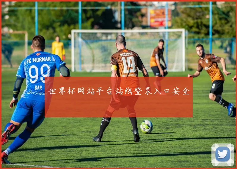 世界杯网站平台站线登录入口安全