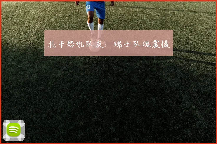 扎卡怒吼队友，瑞士队魂震慑