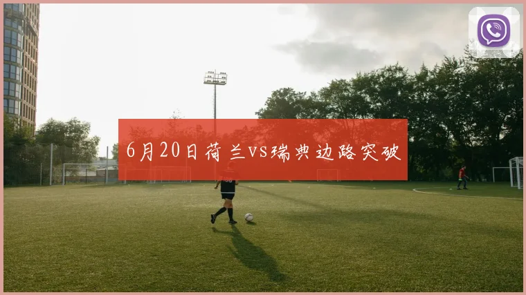6月20日荷兰vs瑞典边路突破