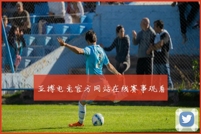 亚搏电竞官方网站在线赛事观看