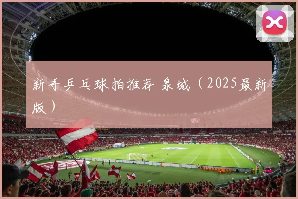 新手乒乓球拍推荐 泉城（2025最新版）