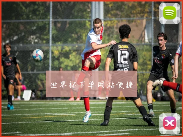 世界杯下单网站便捷
