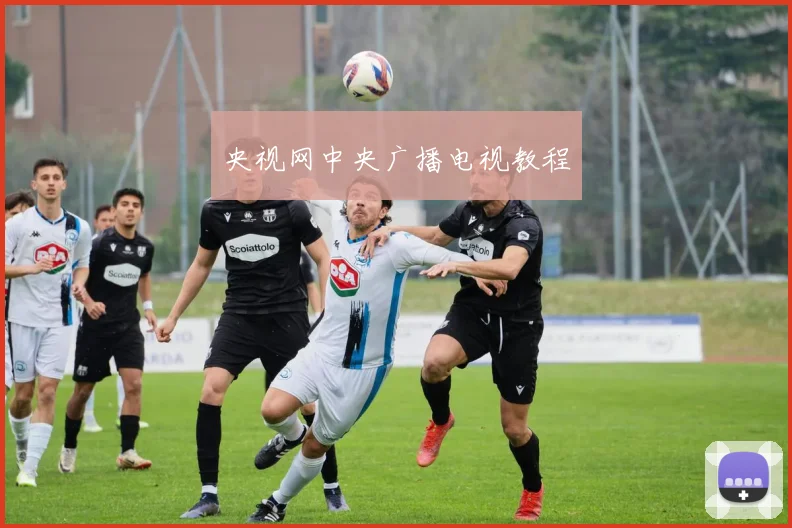 央视网中央广播电视教程