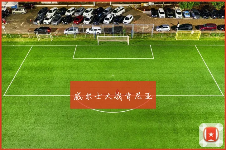 威尔士大战肯尼亚