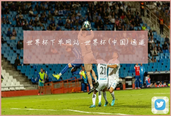 世界杯下单网站_世界杯(中国)通道