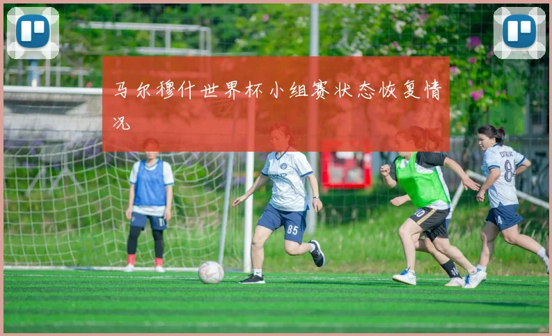 马尔穆什世界杯小组赛状态恢复情况