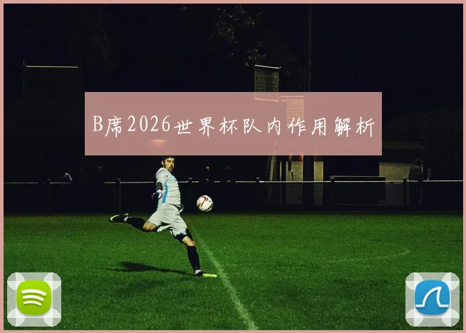 B席2026世界杯队内作用解析
