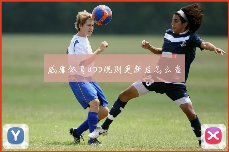 威廉体育app规则更新后怎么查